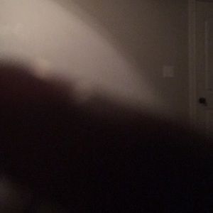 Meet your Posher, Louis